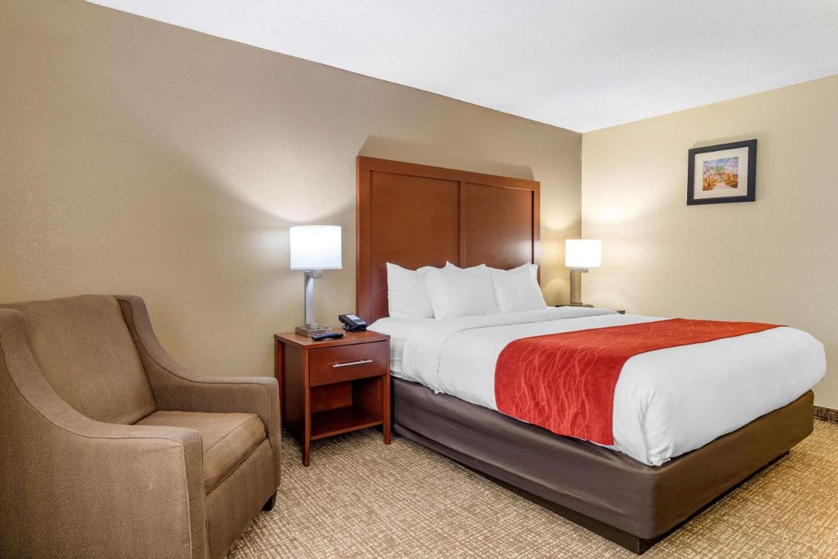 Comfort Inn & Suites Macon North I-75 - image 4