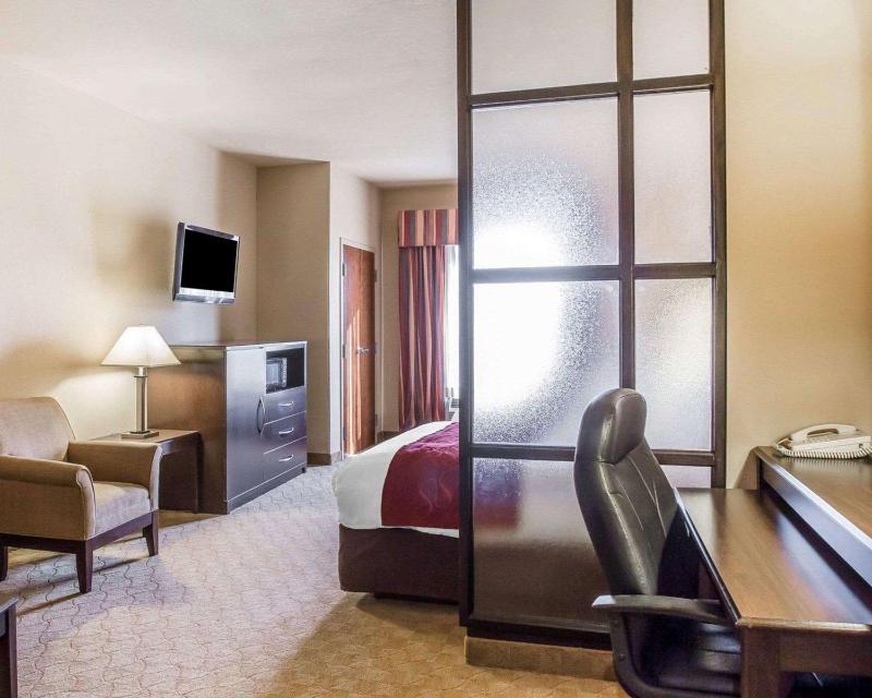 Comfort Suites Macon - image 5