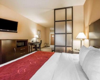 Comfort Suites Macon - image 15