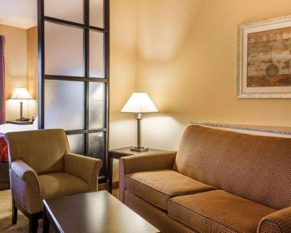 Comfort Suites Macon - image 9