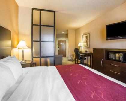 Comfort Suites Macon - image 10