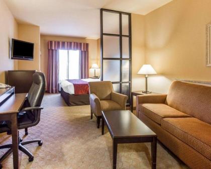Comfort Suites Macon - image 11