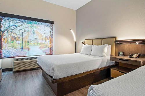 Wingate by Wyndham Macon - image 22