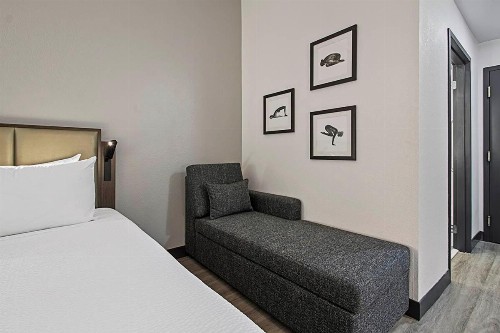 Wingate by Wyndham Macon - image 28