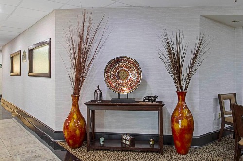Wingate by Wyndham Macon - image 48