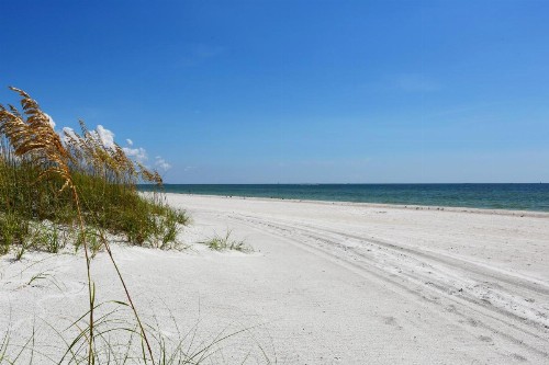Barefoot Beach Club - image 13