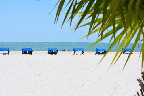Barefoot Beach Club - image 9
