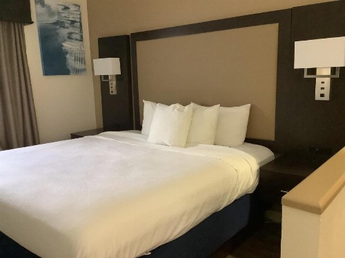 Best Western Plus Madison Inn - image 24