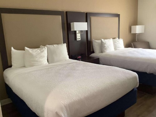 Best Western Plus Madison Inn - image 5