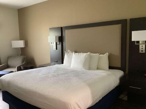 Best Western Plus Madison Inn - image 7