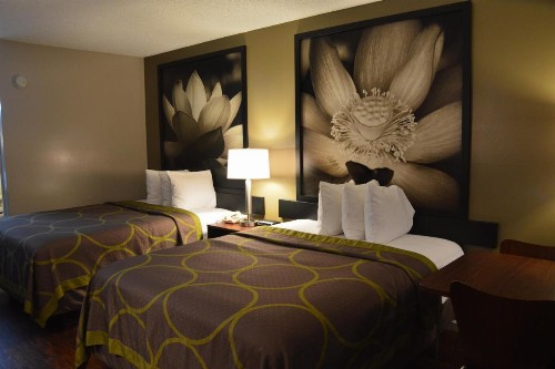 Super 8 by Wyndham Madison - image 24