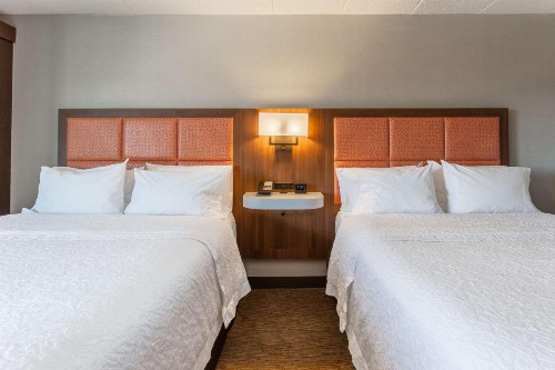 Hampton Inn Madison East Towne Mall Area - image 21