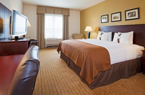 Holiday Inn Madison at The American Center an IHG Hotel - image 39