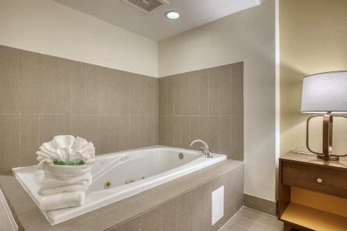 Holiday Inn Hotel & Suites Madison West an IHG Hotel - image 12