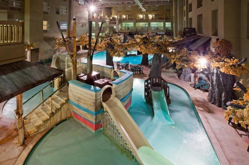 Holiday Inn Hotel & Suites Madison West an IHG Hotel - image 9