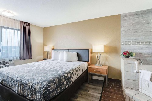 Econo Lodge Madison - image 8