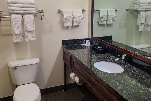 Comfort Suites Madison - image 29