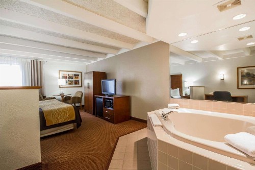 Comfort Inn & Suites Madison - Airport - image 11