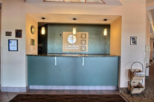 Comfort Inn & Suites Madison - Airport - image 21
