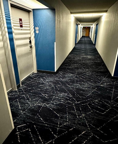 Comfort Inn & Suites Madison - Airport - image 29