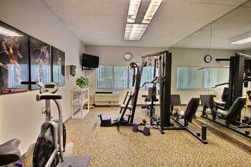 Comfort Inn & Suites Madison - Airport - image 3