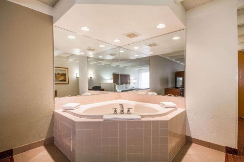 Comfort Inn & Suites Madison - Airport - image 4