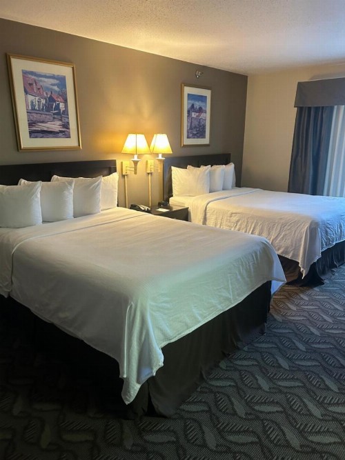 Wyndham Garden Madison Fitchburg - image 31