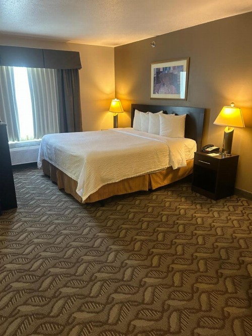 Wyndham Garden Madison Fitchburg - image 8