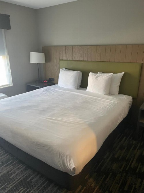Country Inn & Suites by Radisson Madison WI - image 8