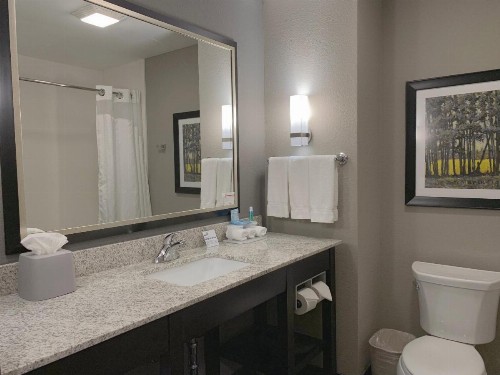 Holiday Inn Express and Suites Madison Central an IHG Hotel - image 18