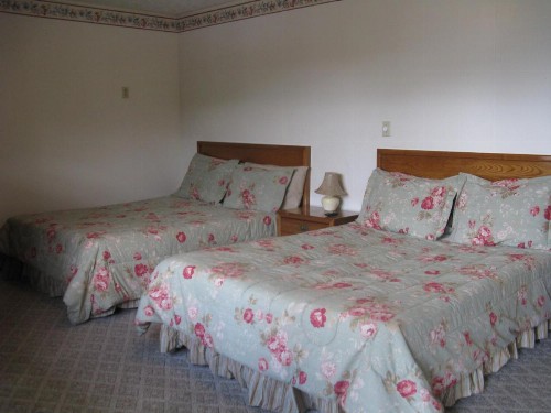 Clarketon Motel - Maggie Valley - image 22