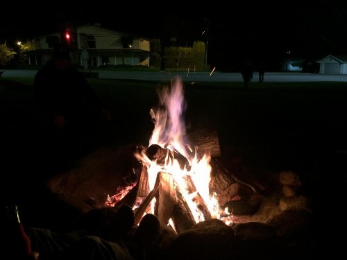 Cardinal Inn - image 34