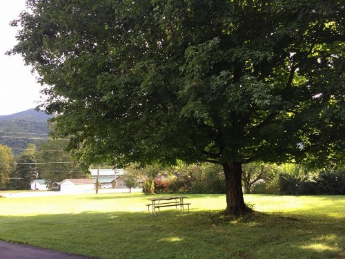 Cardinal Inn - image 36
