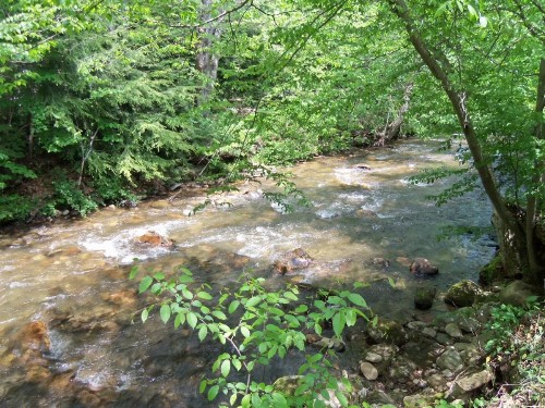Four Seasons Inn - image 12