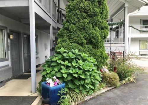 Four Seasons Inn - image 19