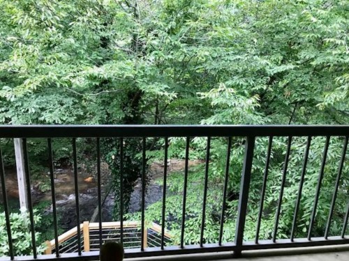 Four Seasons Inn - image 4