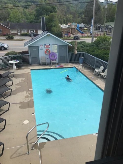 Four Seasons Inn - image 6
