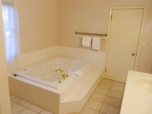 Meadowlark Motel - image 2