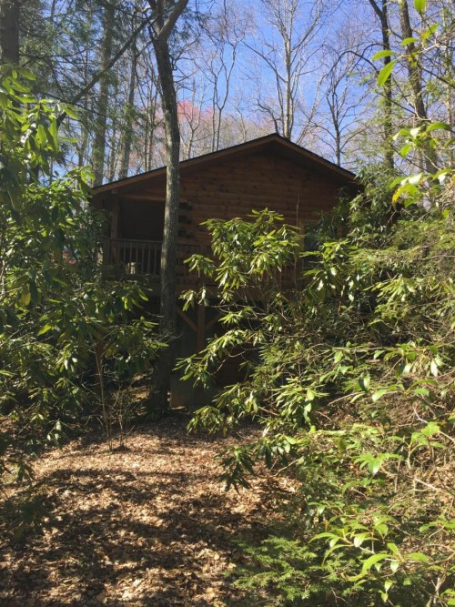 Misty Creek Log Cabins - image 2