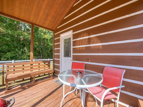 Maggie Valley Cabin Rentals - image 31
