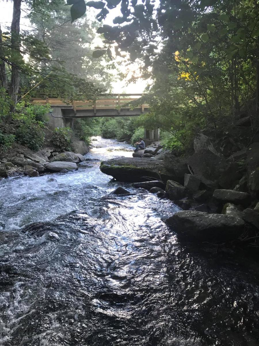 Route 19 Inn - image 3