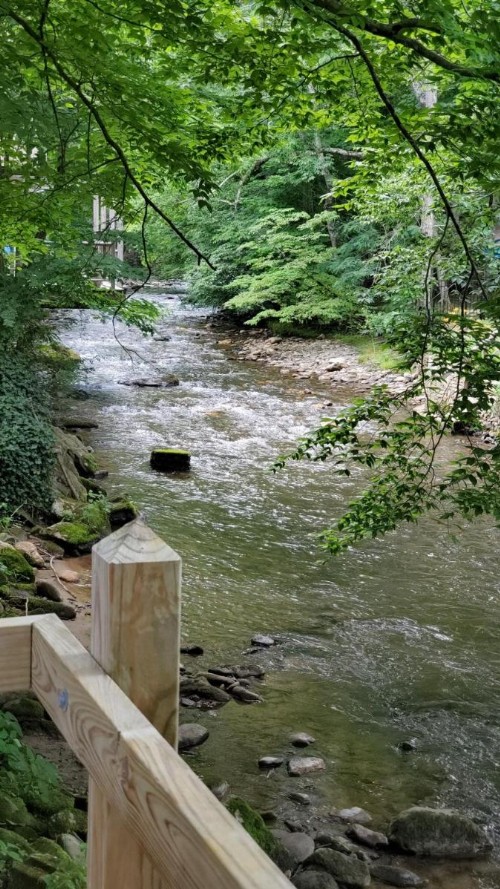 Cozy Creek Cottages - image 5
