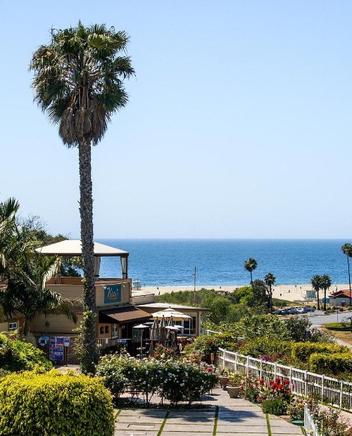 Malibu Country Inn - image 12