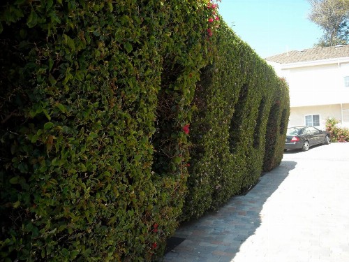 Malibu Country Inn - image 4