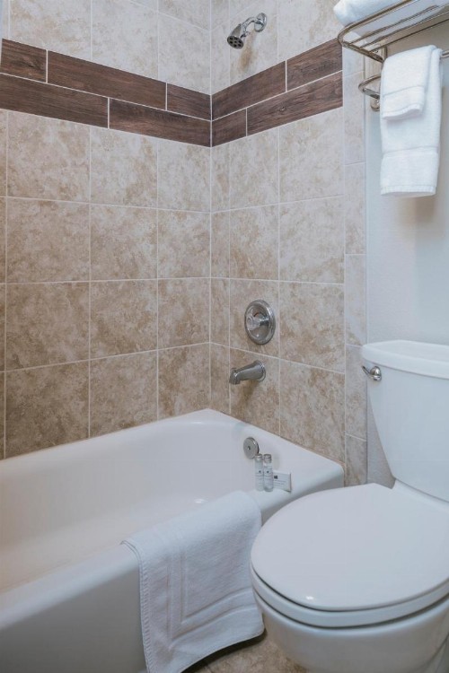 Mammoth Mountain Inn - image 16