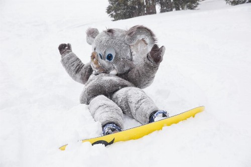Mammoth Mountain Inn - image 26
