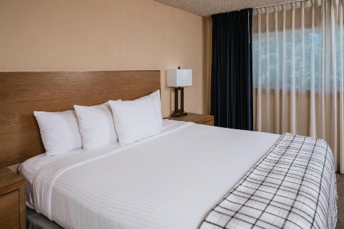 Mammoth Mountain Inn - image 44