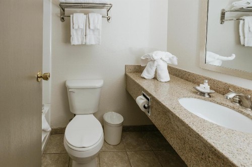 Mammoth Mountain Inn - image 5