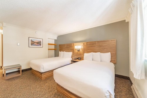 Alpenhof Lodge - image 19