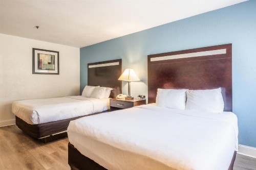Quality Inn near Mammoth Mountain Ski Resort - image 16
